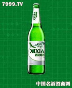 西夏冰爽 西夏嘉釀啤酒